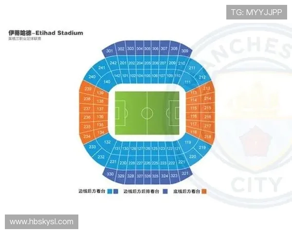 英超球队主场球票收入分析及商业价值探讨