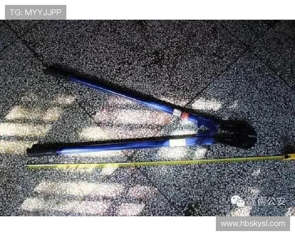 运动装备追踪系统失灵事件分析